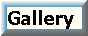 Gallery button